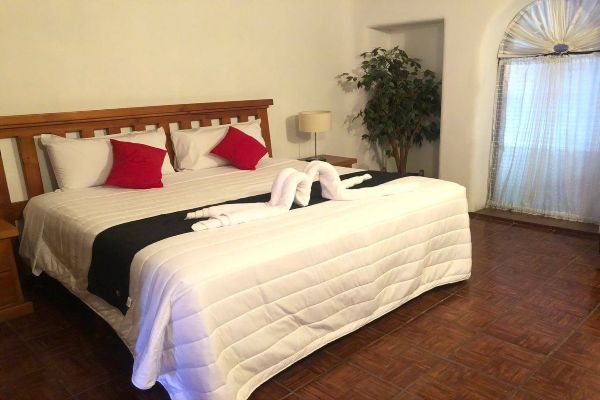 Hotel y Suites Next Yard en San Luis Potosí, SLP